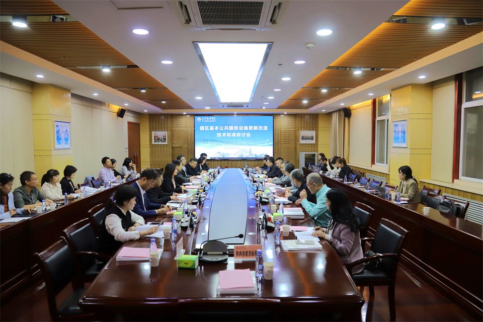 镇区基本公共服务设施更新改造技术标准研讨会在西译召开